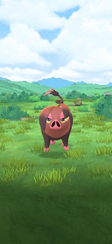 IMG_2025-11-19-13162902