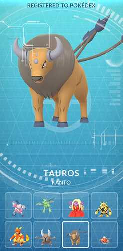 tauros