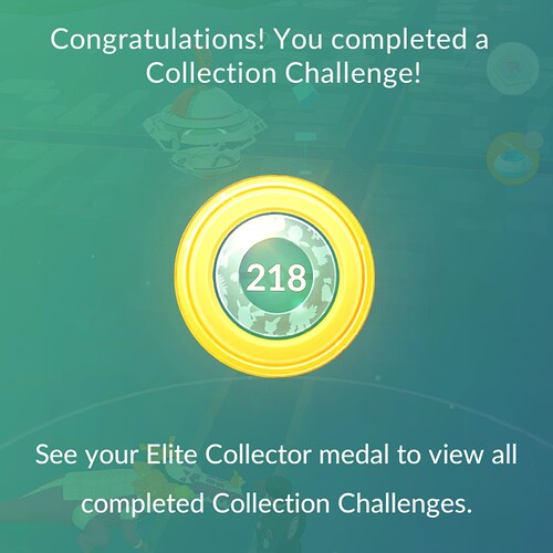 IMG_2025-10-12-01344901