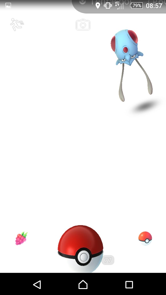 White screen when trying to catch pokemon since latest update. Help