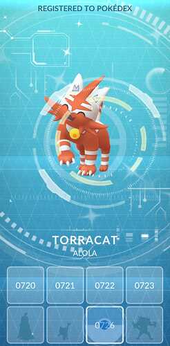 torracat