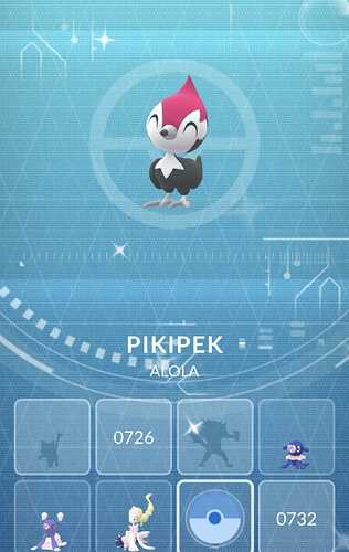 pikipek