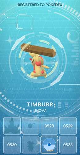 timburr