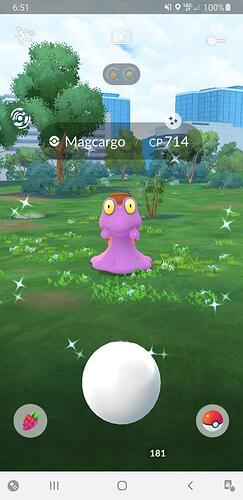 Screenshot_20260617-065154_Pokmon GO