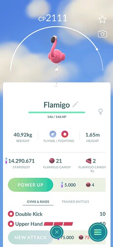 Pokémon GO_2026-02-07-02-14-39