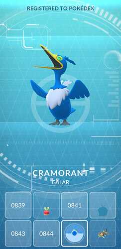 cramorant