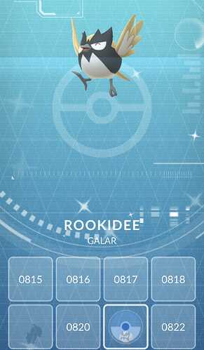 rookidee