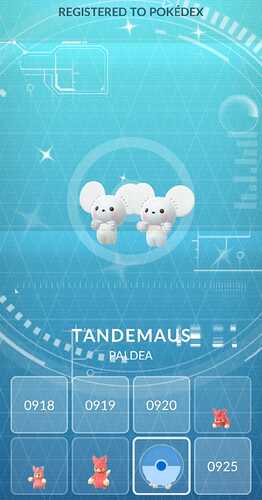 tandemaus