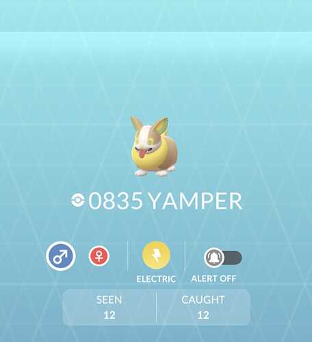 yamper
