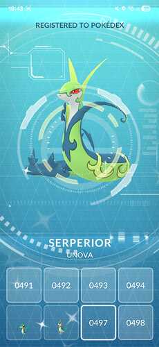 serperiorrrr