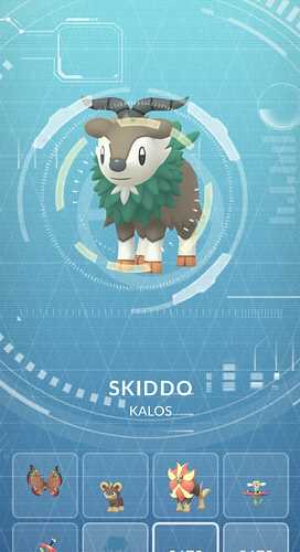 skiddo