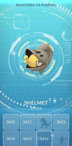 shelmet