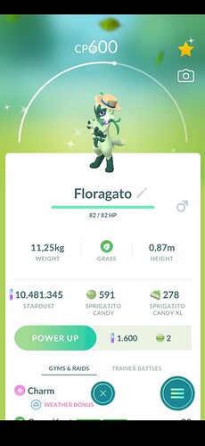 1000001393