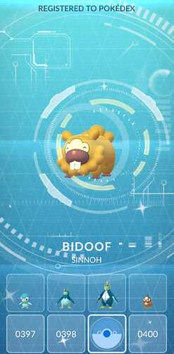 bidoof