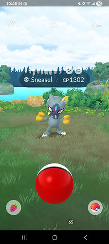 Screenshot_20250804_104614_Pokmon GO