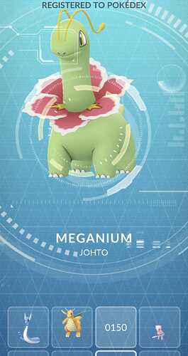 meganium